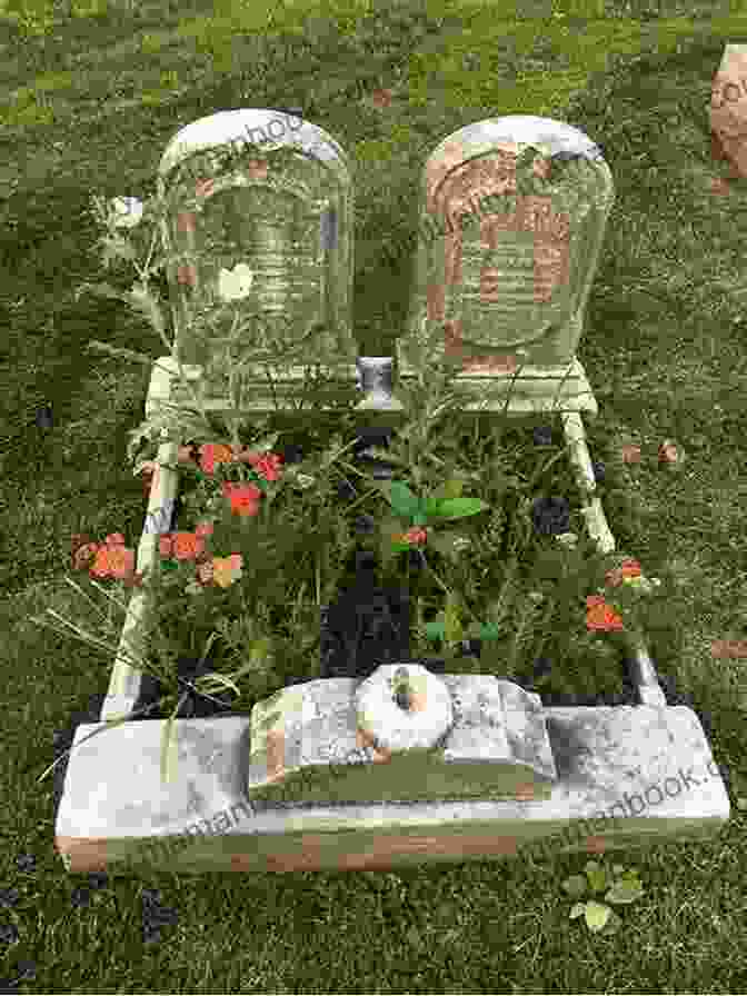 A Nameless Grave In The Cemetery Of Strangers New York City S Hart Island: A Cemetery Of Strangers (Landmarks)