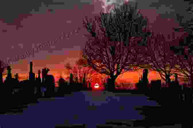 A Sunset Over The Cemetery Of Strangers New York City S Hart Island: A Cemetery Of Strangers (Landmarks)