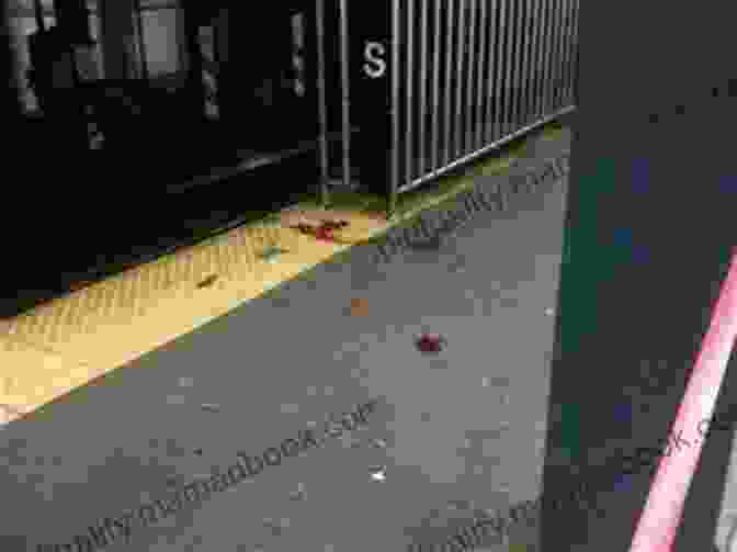 Subway Platform With Blood Spatter Subway Slayings (Memento Mori 2)