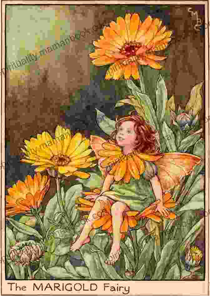 The Orange Fairy And Little Marigold Embarking On An Adventure The Orange Fairy (Xist Classics)