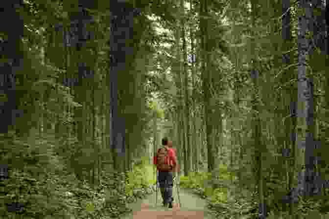 Visitors Walking Through The Quartz Forest Navigating The Quartz Forest Enoch Brater