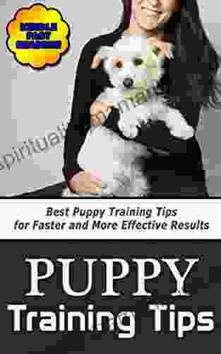 Puppy Training Tips: Best Puppy Training Tips For Faster And More Effective Results
