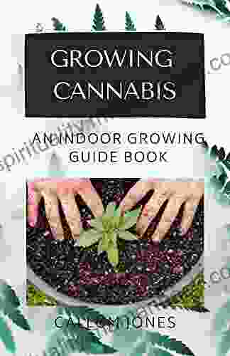 Growing Cannabis : An Indoor Growing Guide