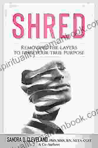SHRED: Removing The Layers To Find Your True Purpose